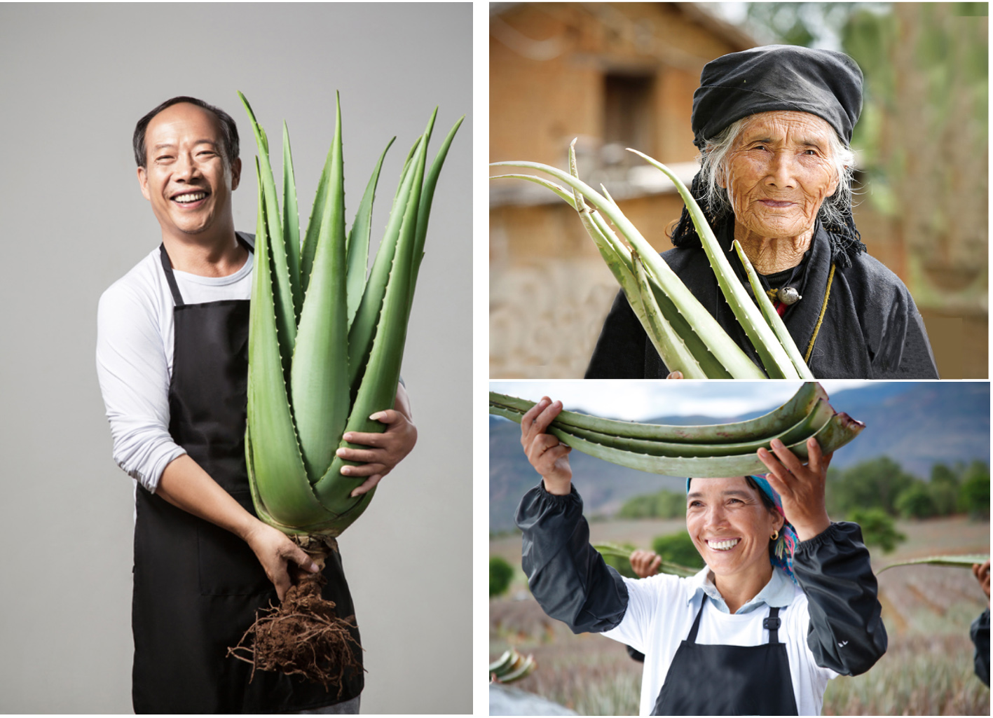 未標題-1.jpg 未標題-1.jpg