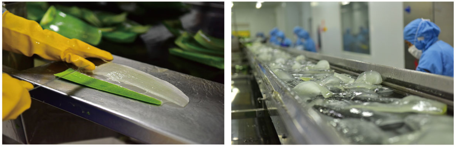 未標題-2.jpg 未標題-2.jpg