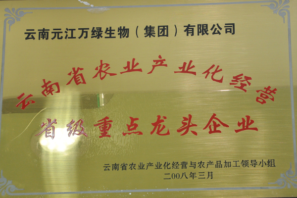 云南省省級重點(diǎn)龍頭企業(yè)