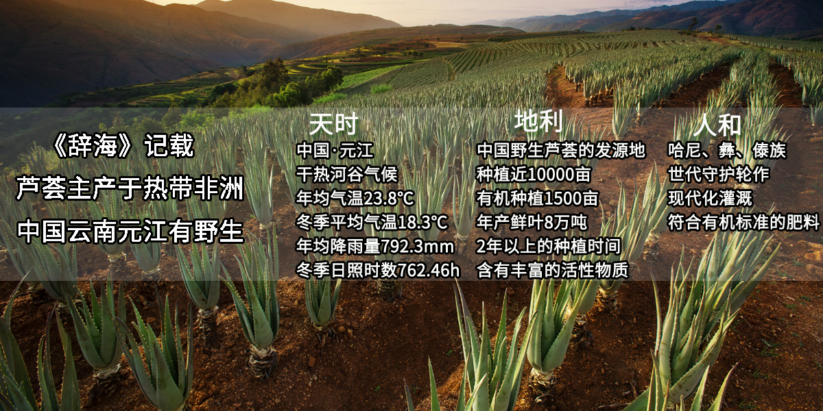 天時地利人和.jpg 天時地利人和.jpg