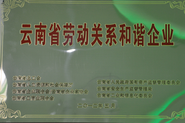 云南省勞動(dòng)關(guān)系和諧企業(yè)