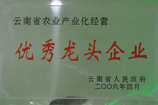 農(nóng)業(yè)產(chǎn)業(yè)化優(yōu)秀龍頭企業(yè)